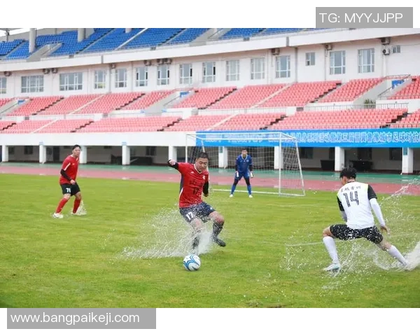 足球明星亲民活动与群众同场踢球展现友谊与热情的精彩瞬间 足球明星亲民活动与群众同场踢球展现友谊与热情的精彩瞬间
