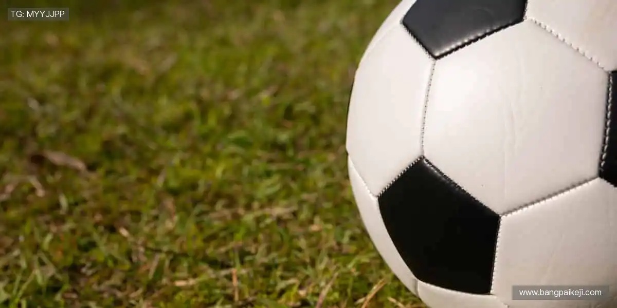 🏀 热血篮球，火力全开！🔥 你的热爱，由我们直播点燃！